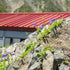 CHAORAS Sports Tenugui / Aleutian bellflower